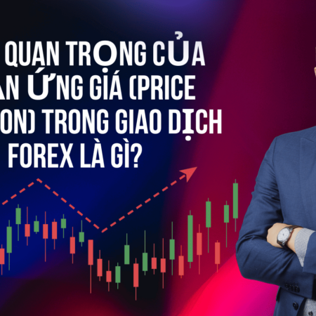 Tầm quan trọng của phản ứng giá (Price Reaction) trong giao dịch Forex là gì?