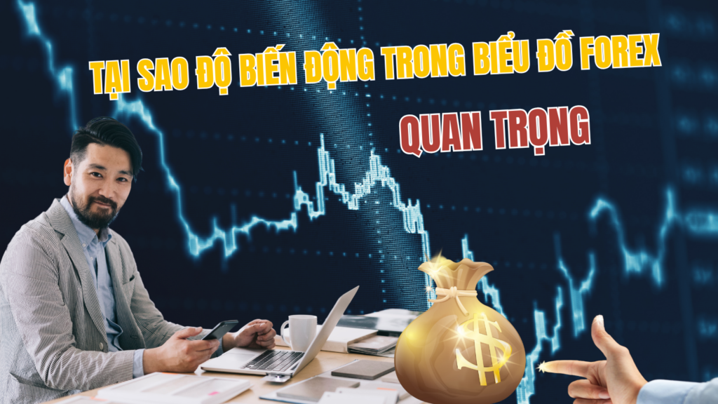 Tại sao Độ Biến Động trong Biểu Đồ Forex Quan Trọng