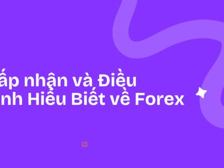 Chấp nhận và Điều chỉnh Hiểu Biết về Forex