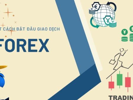 Tóm tắt cách bắt đầu giao dịch Forex