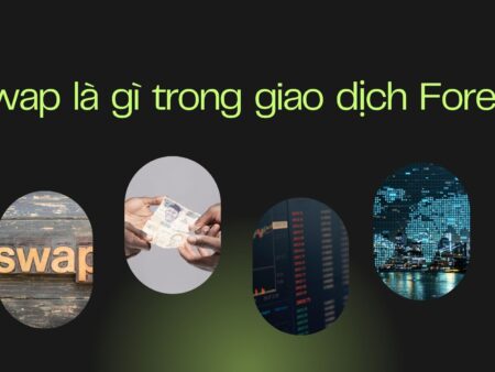 Swap là gì trong giao dịch Forex?