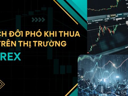 Cách đối phó khi thua lỗ trên thị trường Forex