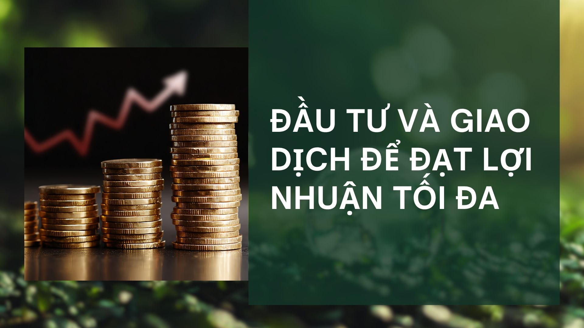 Đầu tư và giao dịch để đạt lợi nhuận tối đa